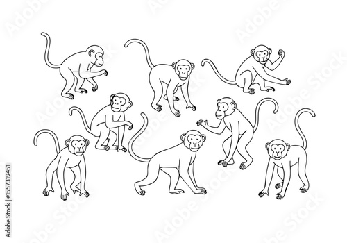 Lineart Group Monkey Mammal Wildlife Animal Line Drawing Illustration