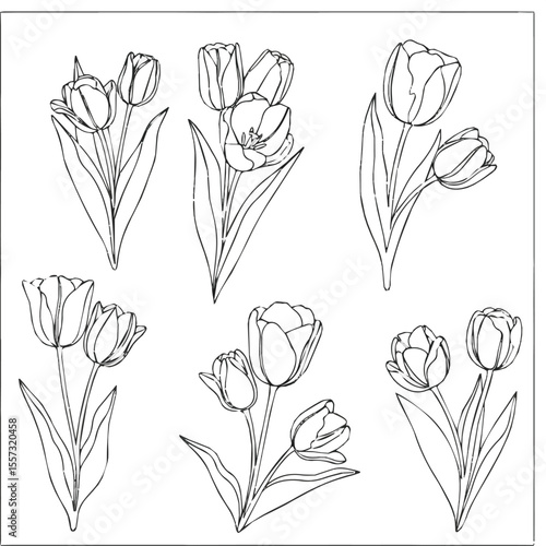 Create a kinds of deferent flower, floral, vector, leaf, nature, illustration, flowers, design, plant, tulip, rose, drawing, pattern, spring, vector art with white background.