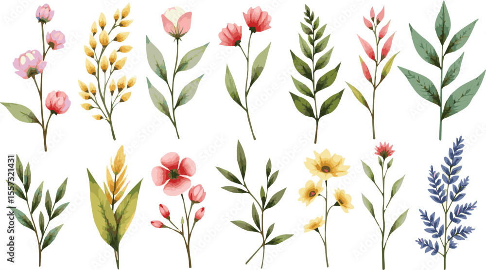 Create a kinds of deferent Large collection of floral elements isolated on white. Watercolor vector art with white background. Create a kinds of deferent Large collection of floral elements isolated on white. Watercolor vector art with white background.