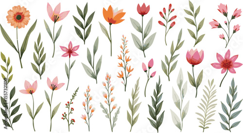 Create a kinds of deferent Large collection of floral elements isolated on white. Watercolor vector art with white background.