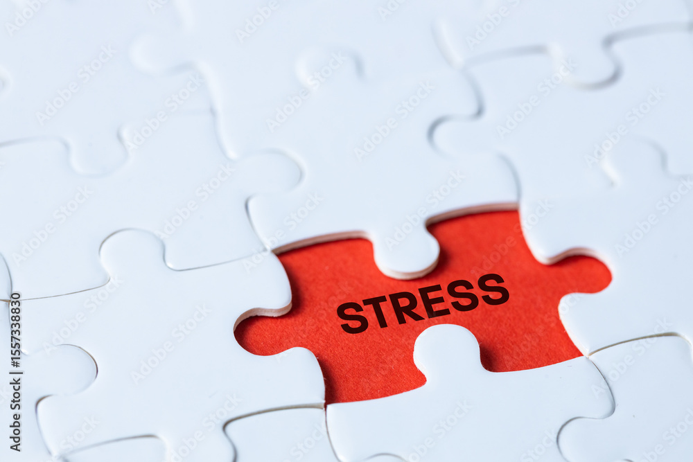 custom made wallpaper toronto digitalWord Stress on exposed puzzle pieces, red background. Health and mental stress concept. burnout, exhaustion, career crisis, problems, bankruptcy, parenting, overload