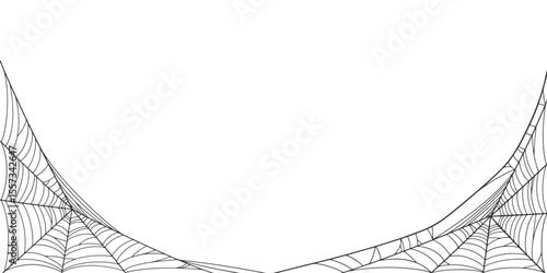 Halloween Cobweb frame border, spider web Vector Isolated on Transparent Background. Vector eps