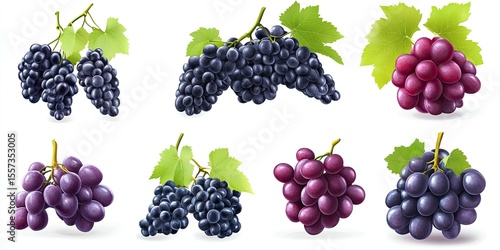 Six bunches of dark purple and red grapes with leaves