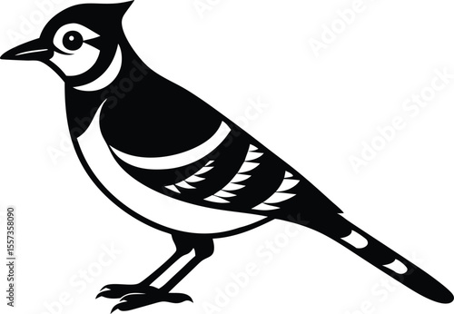 blue jay bird silhouette vector illustration