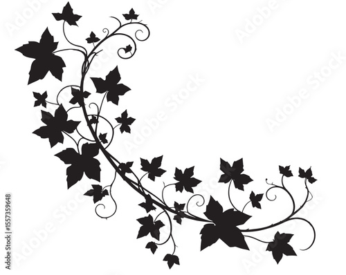 ivy vine silhouette, elegant decorative border and corner design element of leaves vector illustration