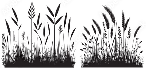 Tall Grass and Plants Silhouette Set Vector, For Landscape Design and Nature Graphics