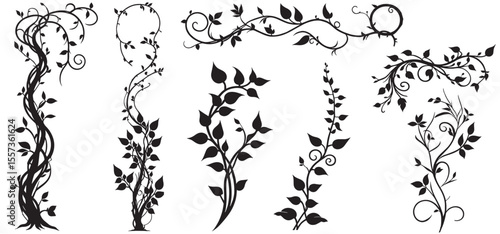 Set of jungle liana vine silhouette designs with leaves and natural elements. Perfect for nature themed designs. Vector