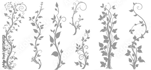 Jungle creeper silhouettes. Tropical forest lianas, rainforest hanging sprouts. Climbing liana vines flat set vector illustration