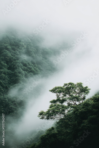 minimalist studio photograph featuring single carefully chosen object on left set against dense rainforest in