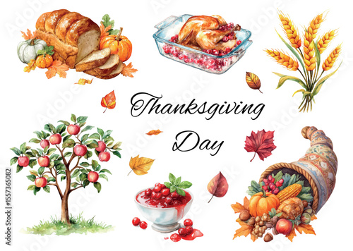 Set of watercolor Thanksgiving elements. Autumn symbols of the holiday: apple, ears of corn, autumn harvest, bread, pumpkin, cranberry sauce, cornucopia and others. Happy Thanksgiving. 