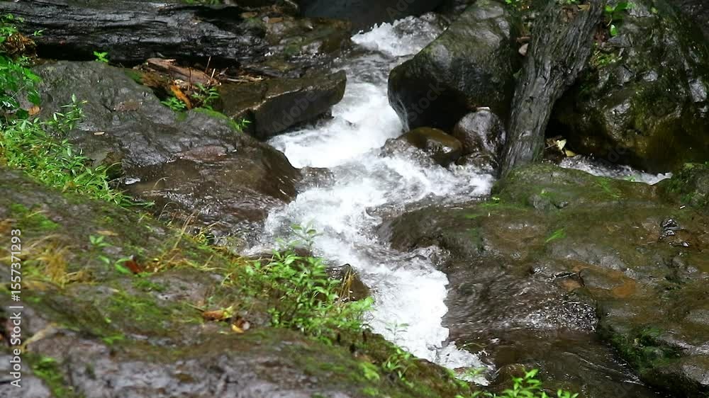 Shot of clear river flow in nature Shot of clear river flow in nature