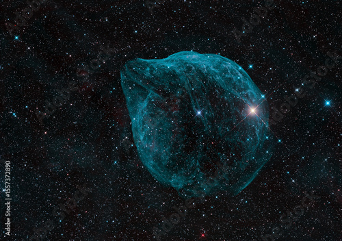 Dolphin-Head Nebula