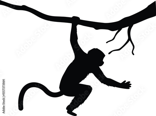 Black silhouette of a monkey hanging from a tree branch against a white background