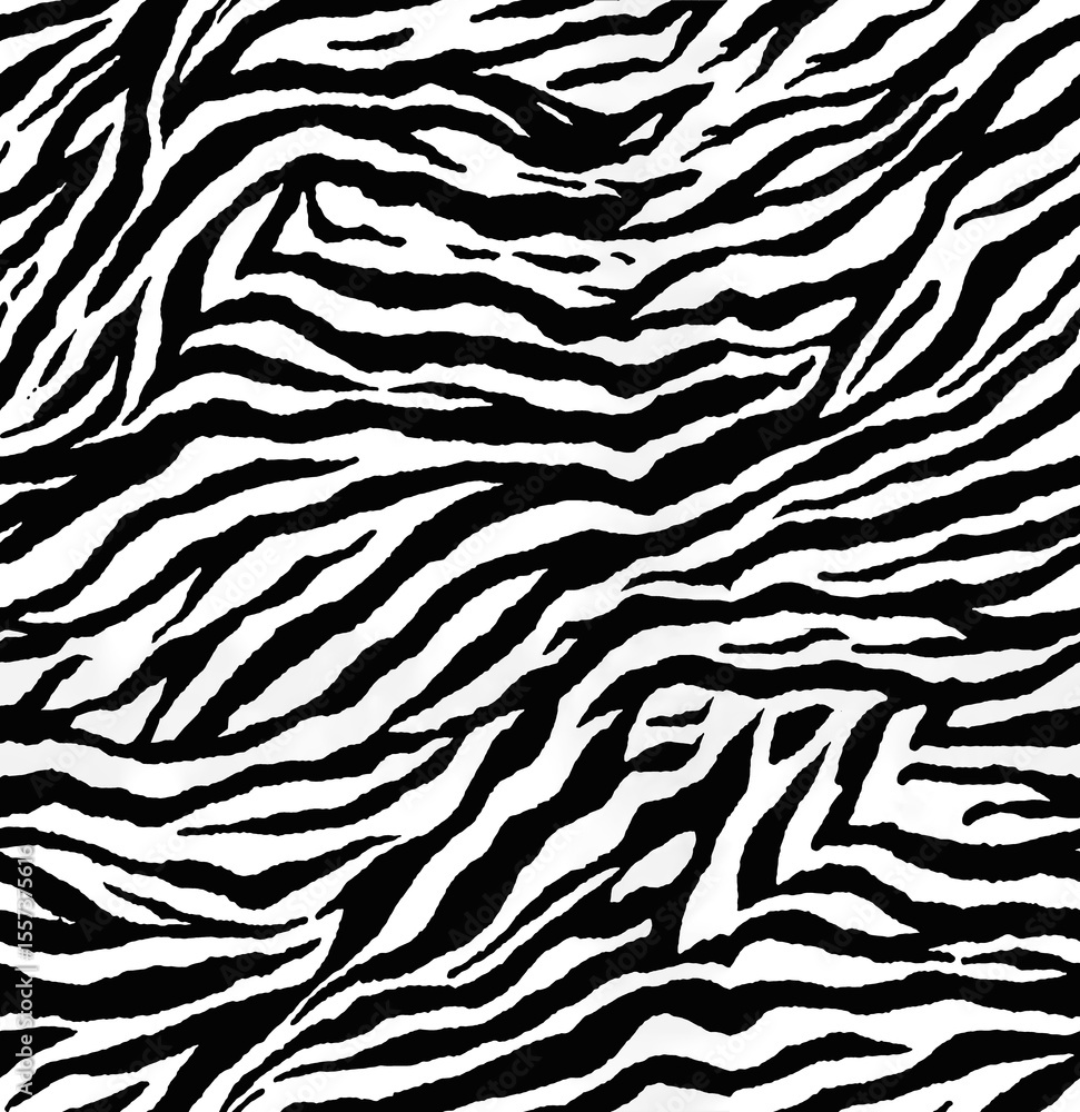 zebra pattern animal skin, black and white seamless abstract texture zebra pattern animal skin, black and white seamless abstract texture