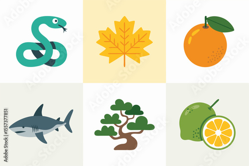 Cartoon Illustration of Snake, Maple Leaf, Orange, Shark, Bonsai Tree, and Lime Slice