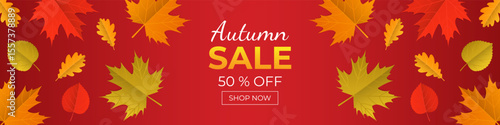 Autumn sale. Horizontal banner with leaves and text 50 percent discount. Vector illustration. Suitable for websites.