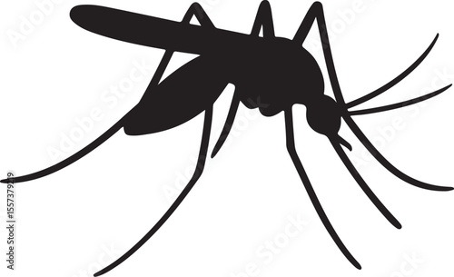 Mosha vector art মশা
