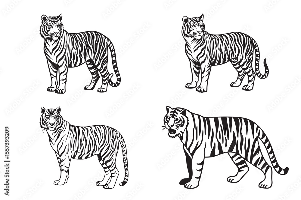 Obraz premium tiger silhouette vector illustration set featuring standing wild mammals with black and white stripes