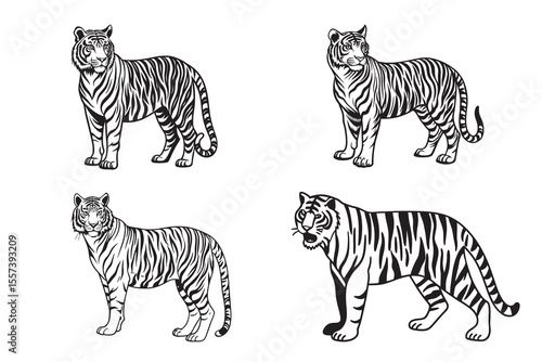 tiger silhouette vector illustration set featuring standing wild mammals with black and white stripes