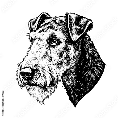 head Airedale Terrier dog pet portrait engraving intricate retro hand drawn style line art black and white vector illustration, isolated on white background