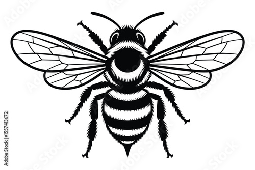 Black and white bee illustration with detailed wings and striped abdomen