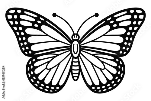 black and white butterfly