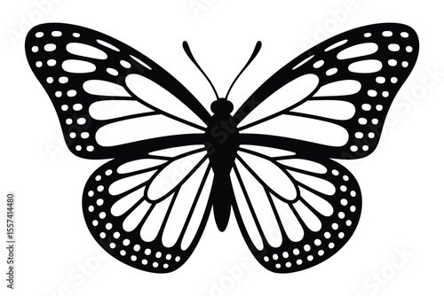 Black and white butterfly illustration with detailed wing patterns on white background