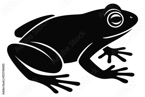 Black and White Frog Silhouette Illustration amphibian
