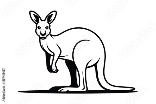 Black and white kangaroo illustration standing on hind legs facing forward