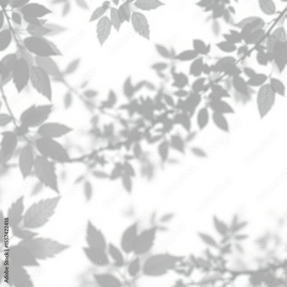 shadow overlay effect. Gray shadow of leaves isolated on white background. Plant foliage leaf shadow light effect. Mockup Blurred tree branch shadow. Ideal for summer spring design elements PNG shadow overlay effect. Gray shadow of leaves isolated on white background. Plant foliage leaf shadow light effect. Mockup Blurred tree branch shadow. Ideal for summer spring design elements PNG