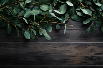 Eucalyptus branches arranged on a dark wooden surface, creating a natural border with copy space