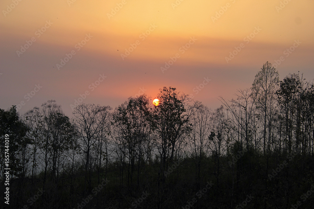 Obraz premium Warn toned sunset in the mountains within a tree line