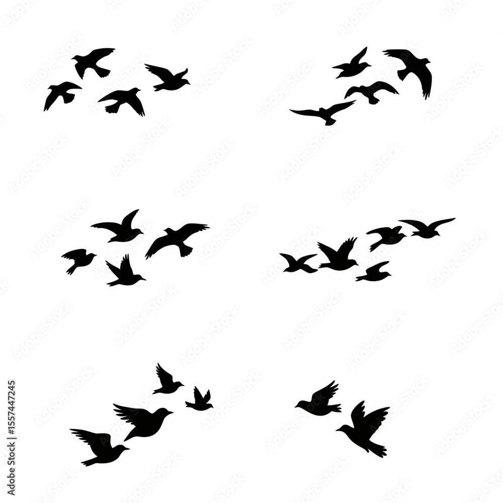 silhouettes of birds set vector design illustration, white background. silhouettes of birds set vector design illustration, white background.