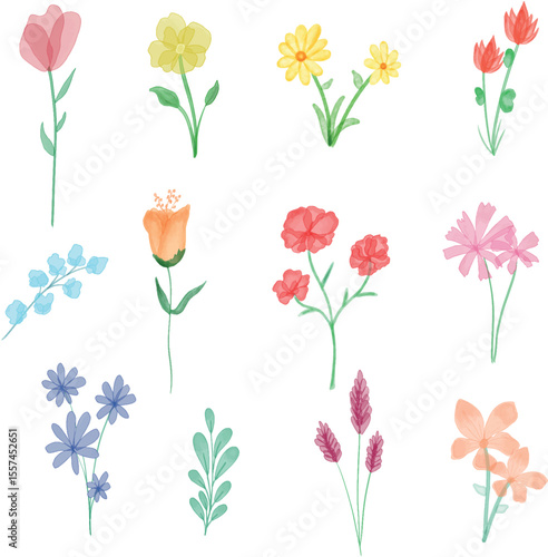 flowers asset watercolor vector 