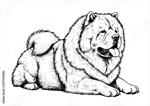 chow chow dog pet portrait engraving intricate retro hand drawn style line art black and white vector illustration, isolated on white background
