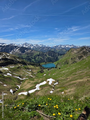 Zeigersattel