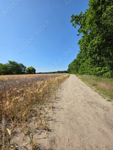 Feldweg
