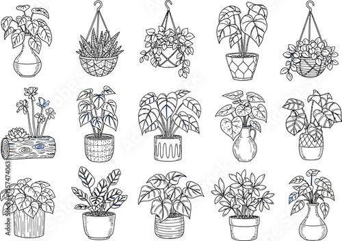 Collection of Line Art Houseplants Pots, Hanging Baskets, and Unique Planters