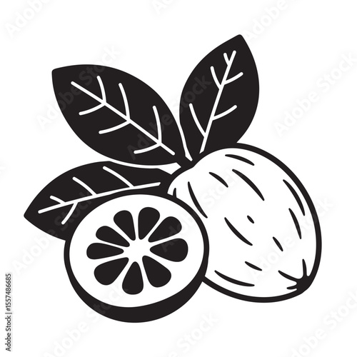Black and white illustration of nutmeg and leaves vintage art silhouette for culinary and herbal themes