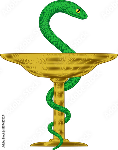 Bowl of Hygeia Snake Medical Pharmacy Symbol Icon