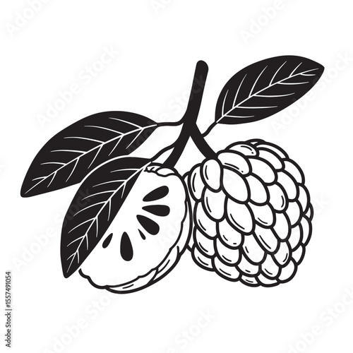 Simple vintage art silhouette illustration of a ripe custard apple branch with leaves and cut fruit