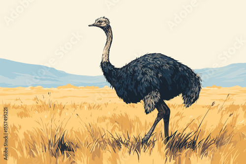 Ostrich in the wild environment visible feet--i closeup isolated