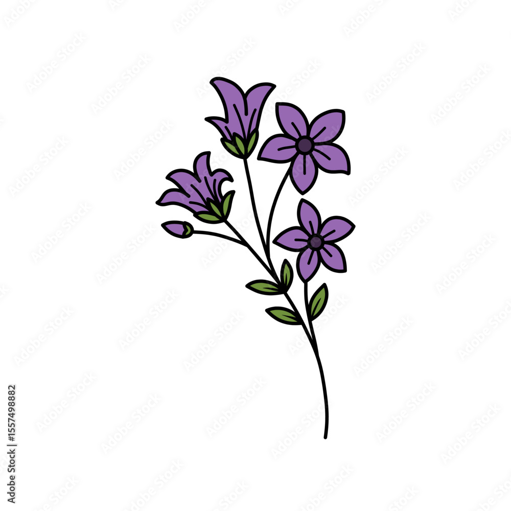 Delicate purple floral illustration with black outlines and green accents on white Delicate purple floral illustration with black outlines and green accents on white