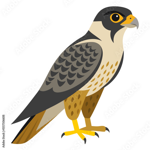 Stylized Peregrine Falcon Illustration with Geometric Shapes and Flat Design Emphasizing its Distinctive Markings and Powerful Stance Set Against a Clean White Background stylized illustration