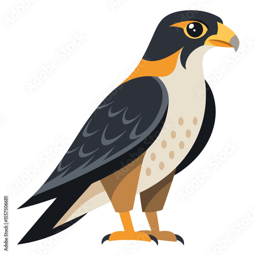 Stylized Peregrine Falcon Illustration with Bold Colors and Simplified Design Standing Tall with a Focused Gaze Perfect for Educational Materials and Wildlife Conservation Awareness Campaigns