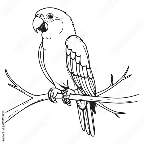 Detailed black and white line drawing of a parrot perched on a branch
