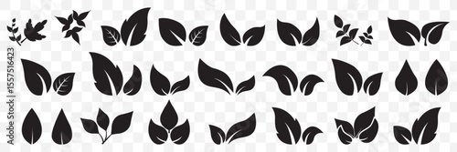 leaf icon. Black leaf icons set. Leaves icon on transparent background. Collection green leaf. Elements design for natural, eco, vegan, bio labels  on Transparent Background. EPS 10.