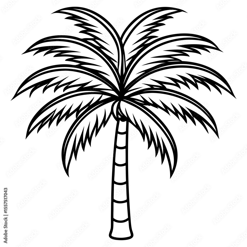 Obraz premium Areca Palm line art vector