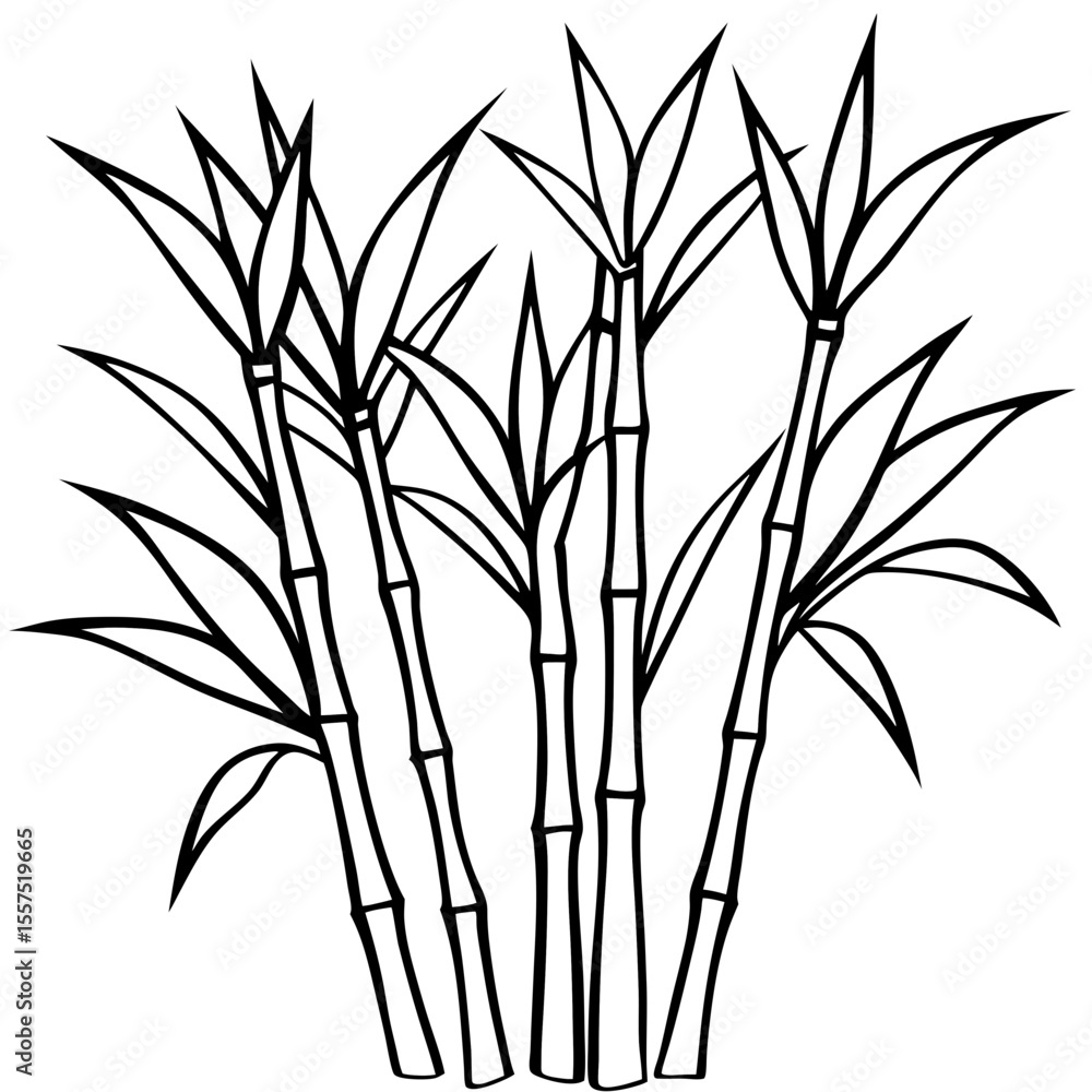 Naklejka premium Bamboo line art vector