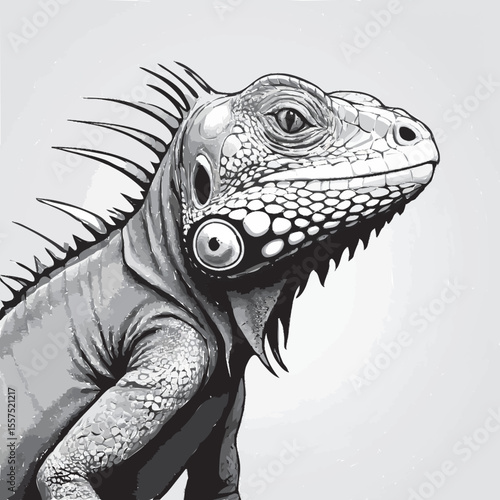 portrait of a iguana